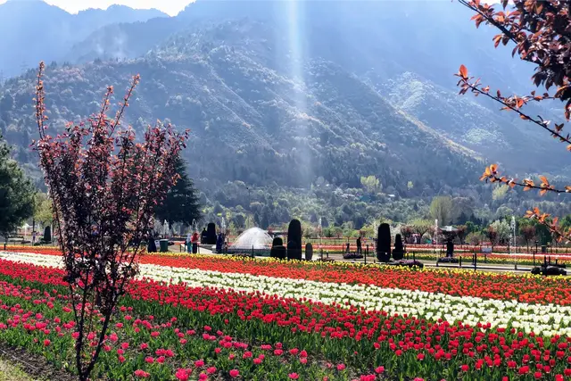 Kashmir tour packages