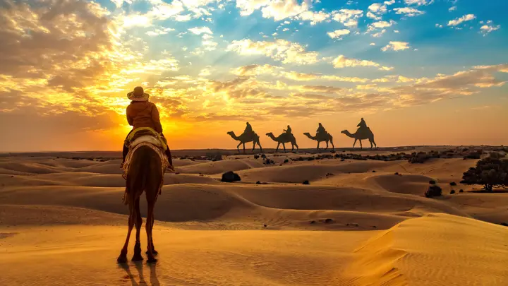 Best Of Rajasthan  Wildlife Package ( Jodhpur With Jaisalmer Desert )